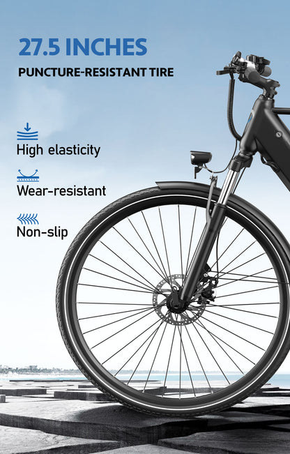 DUOTTS C29 Lite Adult Electric Bicycle 36V/250W, 65KM Range, 25KM/H Speed, Shimano 7-Speed, City E-Bike