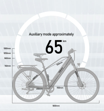 DUOTTS C29 Lite Adult Electric Bicycle 36V/250W, 65KM Range, 25KM/H Speed, Shimano 7-Speed, City E-Bike