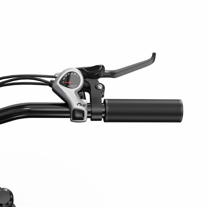 DUOTTS C29 Lite Adult Electric Bicycle 36V/250W, 65KM Range, 25KM/H Speed, Shimano 7-Speed, City E-Bike