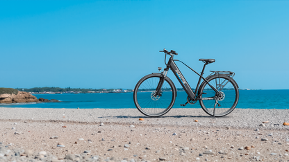DUOTTS C29 Lite Adult Electric Bicycle 36V/250W, 65KM Range, 25KM/H Speed, Shimano 7-Speed, City E-Bike